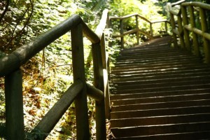 DSC08625 The long climb up from the beach at UBC.