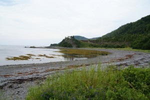 The beach