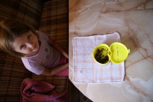 Morgane overlooks the shrimp in the trailer.
