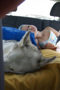 Life in the back seat.