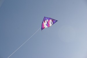 Morgane's kite - in the air for the first time.
