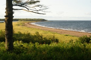 DSC01070 Provincial Park Beach near ferry to PEI