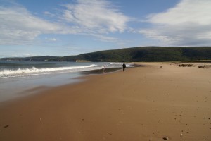 An afternoon walk on the beach.