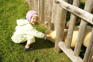 Look Mom, I'm touching a sheep!