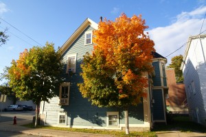 Fall colours in Lunenberg