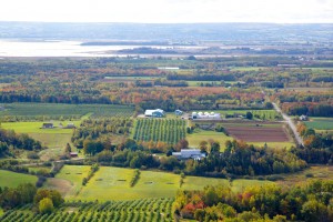 The view from Look Off.