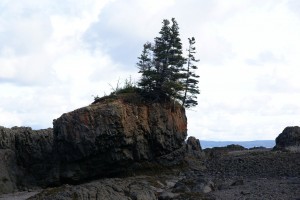 Hall's Harbour - Ghis learned the names of each large rock.