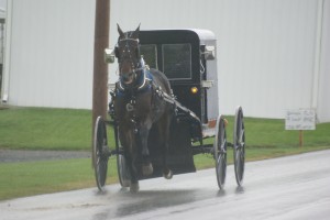 Horse and buggy.