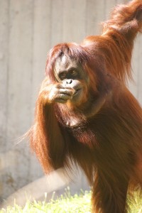 I like picking my nose and eating it.