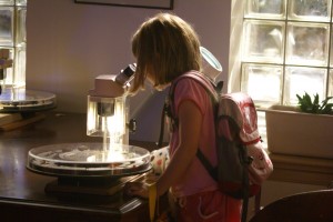 Yesterday, Morgane looking through a microscope at the zoo.