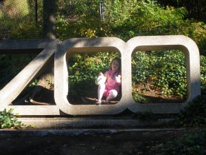 Inside the zoo, literally.