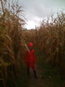 Morgane looks small next to the corn in the maze.