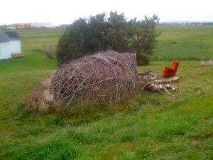 An interesting structure I noticed near the library.