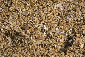 DSC03039 The sand was more like ground stone and shell in places. We picked up some beautifully polished, incredibly light stones and shells.
