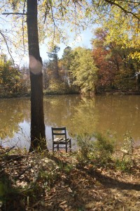 A view of the pond.