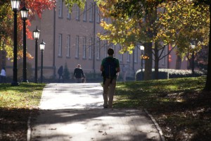 The university.