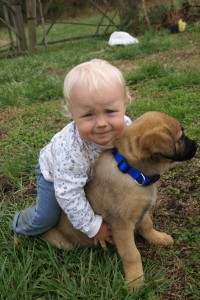 Cedar loves the puppy, too.