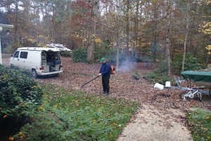 Ghis and the leaf blower.