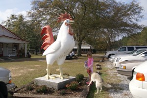 This is what caught our eye.