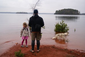 Red soil by the water's edge.