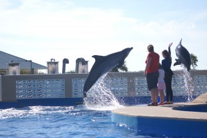 Morgane and I with the dolphins.