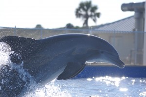 Close to these wonderful animals.