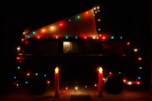 Wouldn't this make a cute Christmas card?