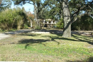 The side of the road was a mix of new construction, old foundations, land for sale signs and grown-over parking lots.