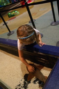 Brave Morgane patting a shark.