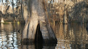 Ghis's kayaking photos