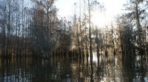 Ghis's kayaking photos