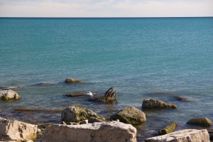 DSC09927